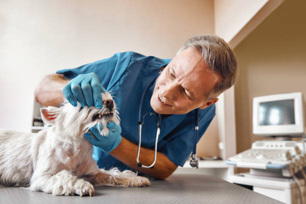 Best Emergency Broken Tooth Repair in Riverside, MD